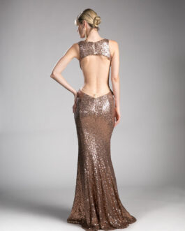 Embroidered Sequin Sheath Open Back Straps Long Evening Dress CDCR815