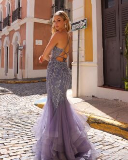 Illusion V-Neck Tulle Mermaid Skirt Embroidered Lace Long Prom Dress NXG1368