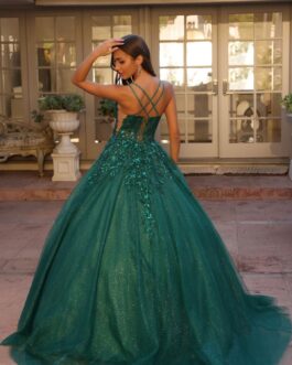 Embellished Glitter Embroidered Lace Straight Across Long Quinceanera Dress NXH1271