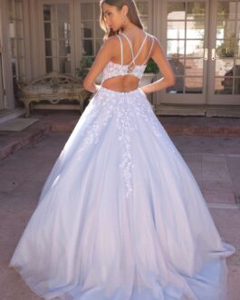 Double Spaghetti Straps Embroidered Lace Bodice Long Quinceanera Dress NXH1357