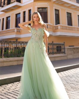 Off Shoulder Embroidered Lace Tulle Skirt Long Prom Dress NXJ1324
