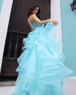 Tulle Skirt A-Line Embroidered Lace Bodice Long Prom Dress NXR1433