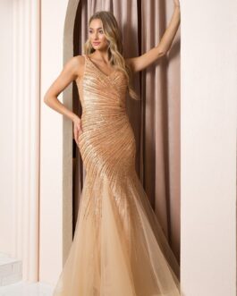 Mermaid Embroidered Sequin Open V-Back Long Prom Dress NXH1088