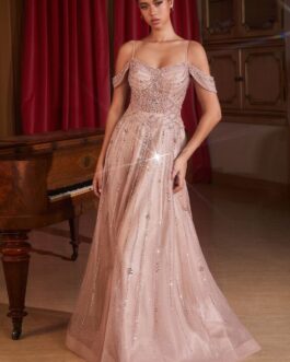 EMBELLISHED A-LINE TULLE GOWN CDCB147