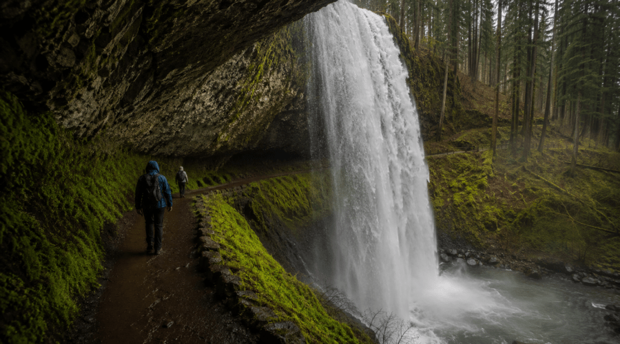 Waterfall canyon trail at Silver Falls State Park in Oregon surrounded by lush Pacific Northwest forest.